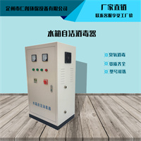 外置水箱自洁消毒器 微电解水处理机 仁创环保